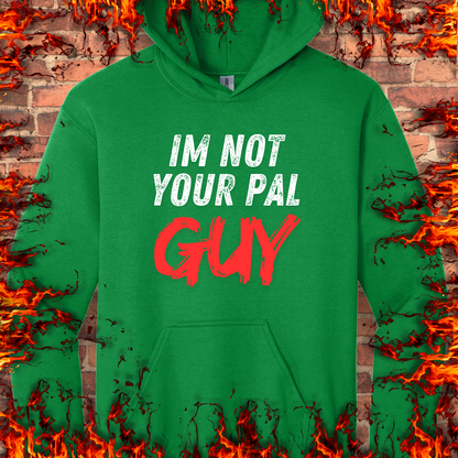 Not Your Pal...Guy