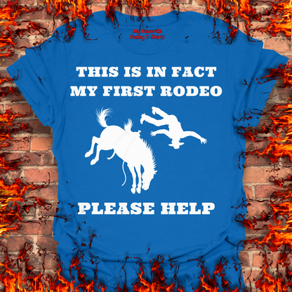 This Is In Fact My First Rodeo