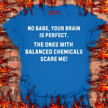 Your Brain Is Perfect