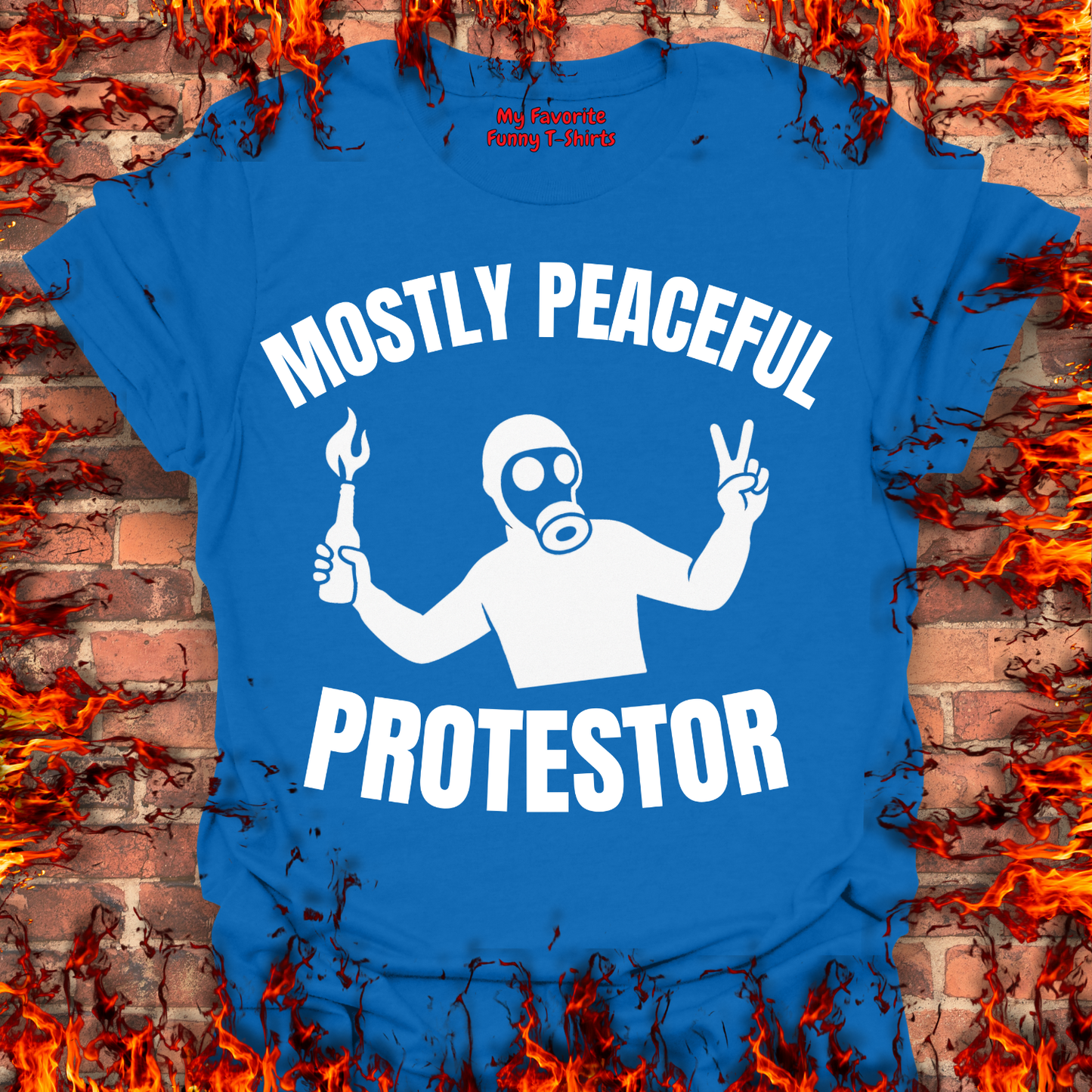 Mostly Peaceful Protestor