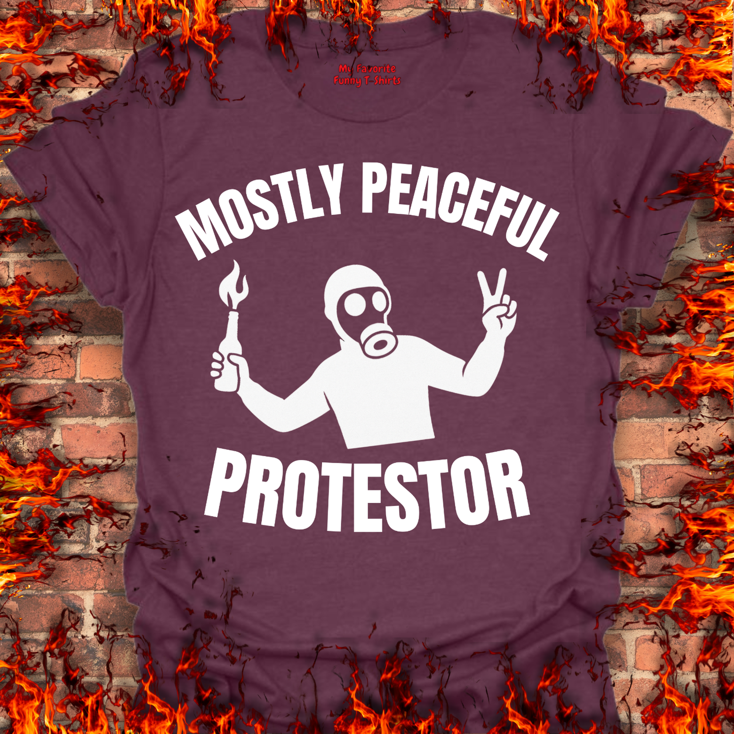 Mostly Peaceful Protestor