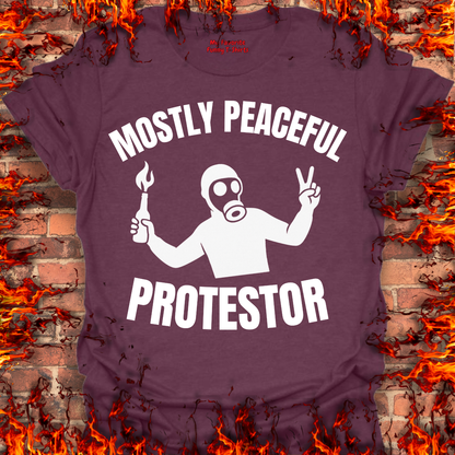 Mostly Peaceful Protestor