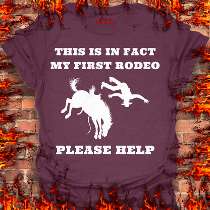 This Is In Fact My First Rodeo