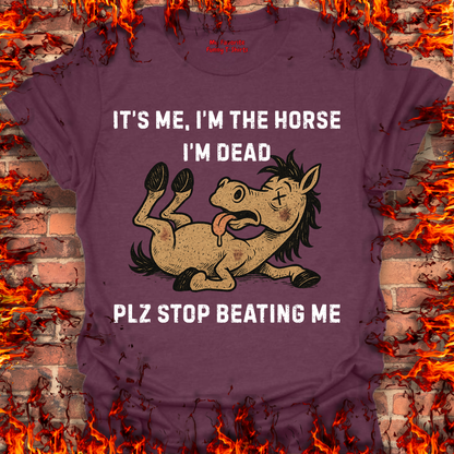 Plz Stop Beating Me