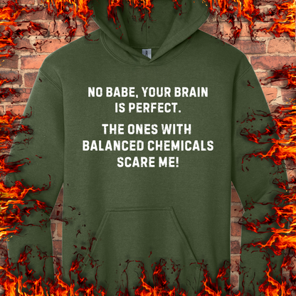 Your Brain Is Perfect