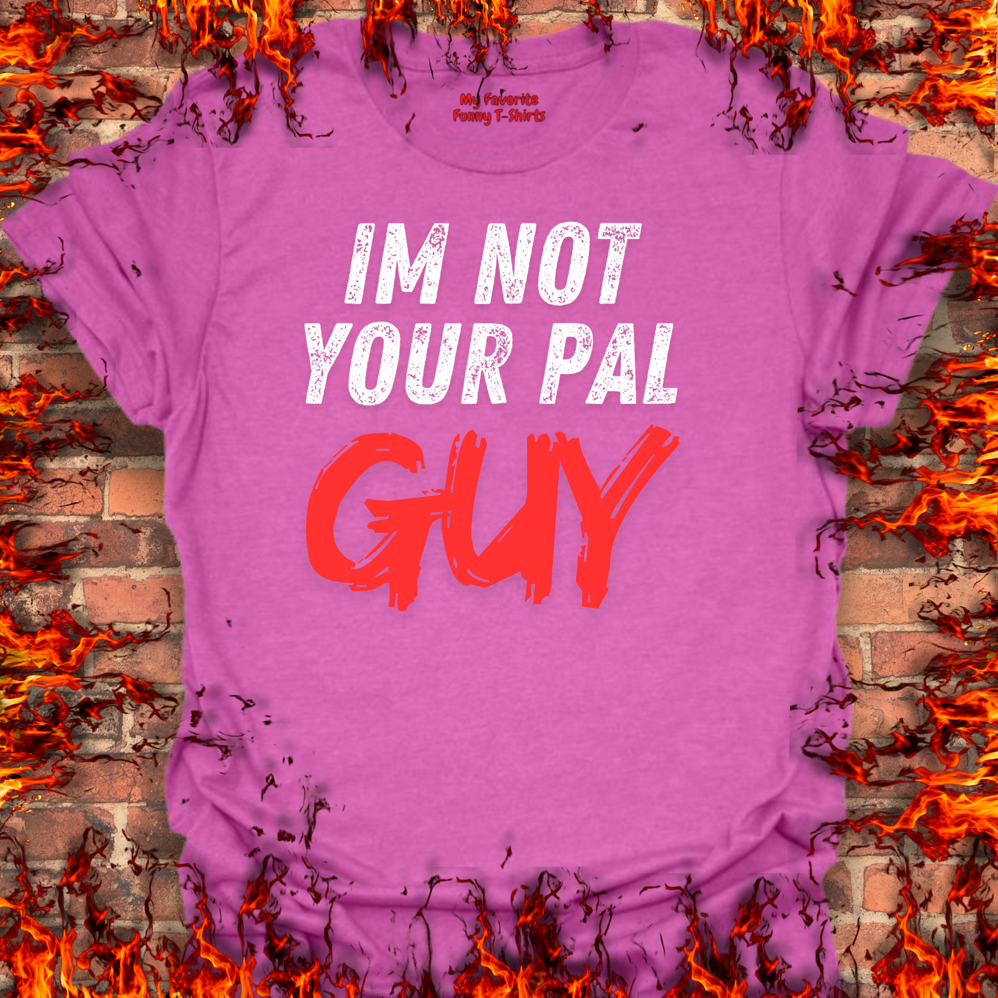 Not Your Pal...Guy