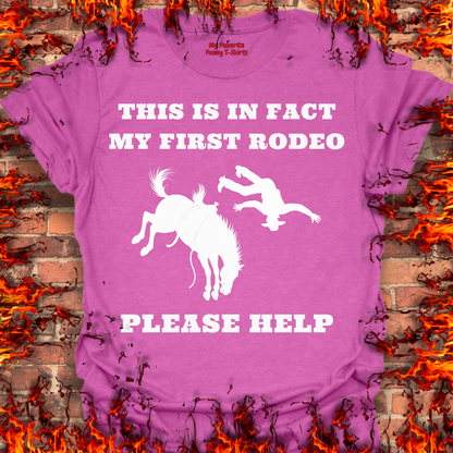 This Is In Fact My First Rodeo