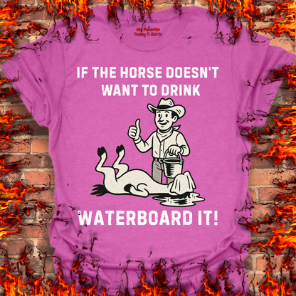 Waterboarding Horses
