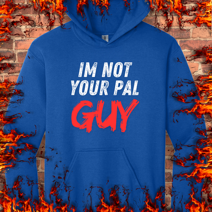 Not Your Pal...Guy