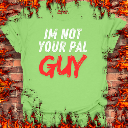 Not Your Pal...Guy