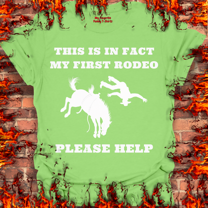 This Is In Fact My First Rodeo