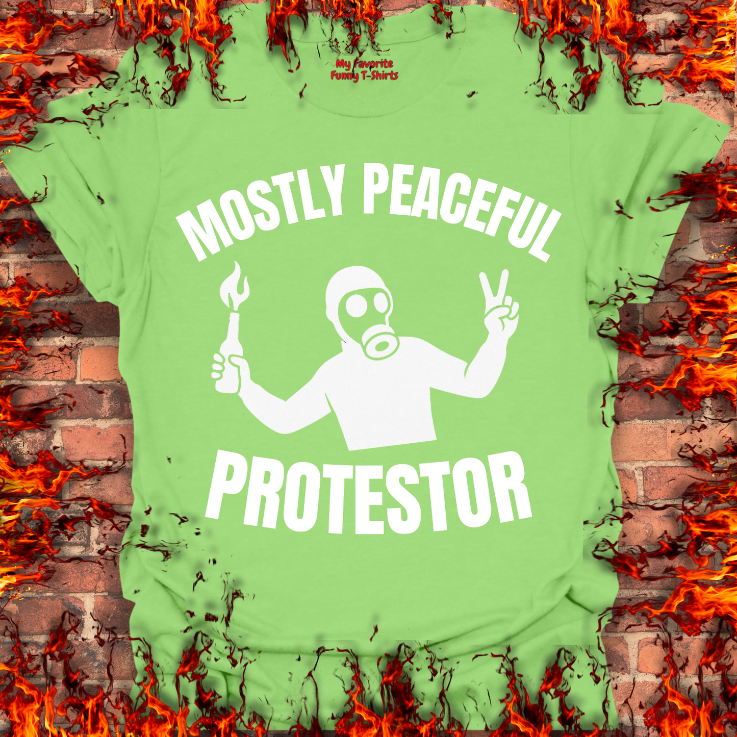 Mostly Peaceful Protestor