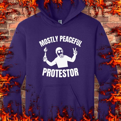 Mostly Peaceful Protestor