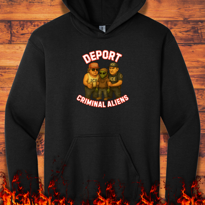 Deport Criminal Aliens