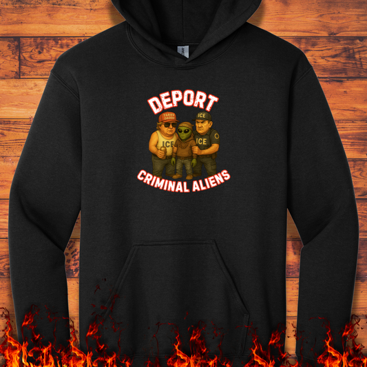 Deport Criminal Aliens