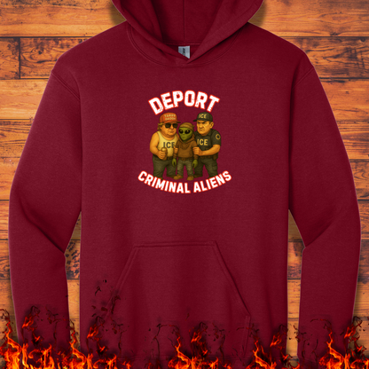Deport Criminal Aliens